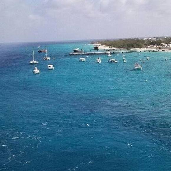 Meet your Posher, Jeremy - Picture 1 of 1